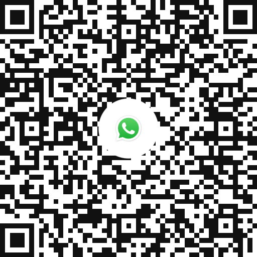 LIVOI KI-Experte von P-CATION QR code